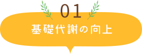 基礎代謝の向上